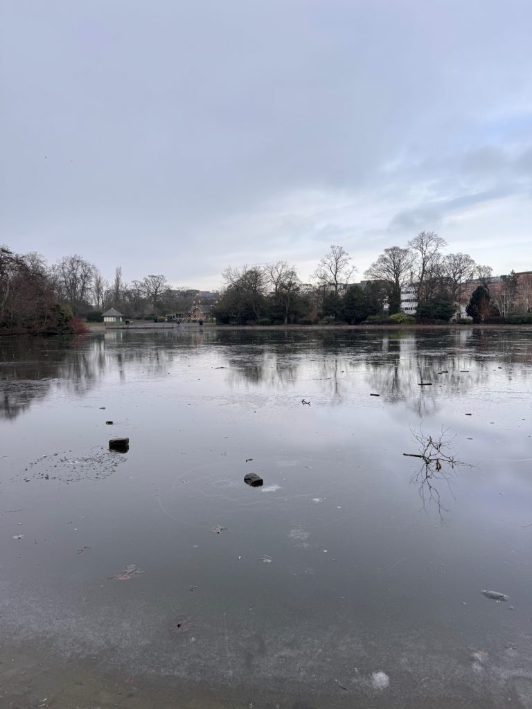 Image of lake that is frozen over. There are branches on top of the frozen lake. There is a small island in the middle of the lake with bushes on. On the opposite side of the lake there is a small hut which is a coffee shop.